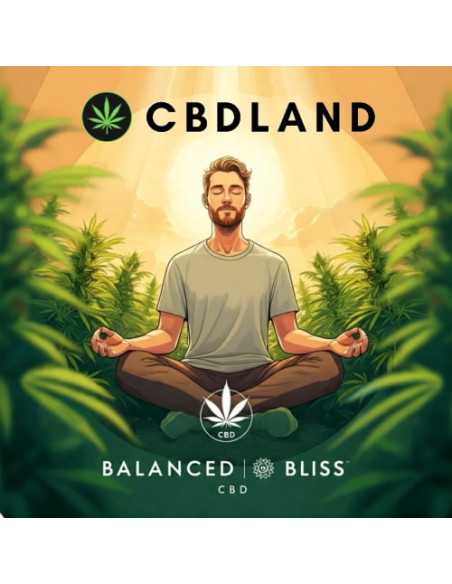 CBD Hash 16% - Balanced Bliss